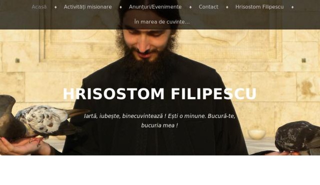 Hrisostom Filipescu Blog